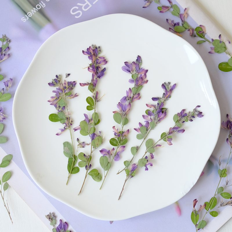 6pcs,nature Lespedeza Formosa  - Dried Flower Bookmark recensione e prezzo