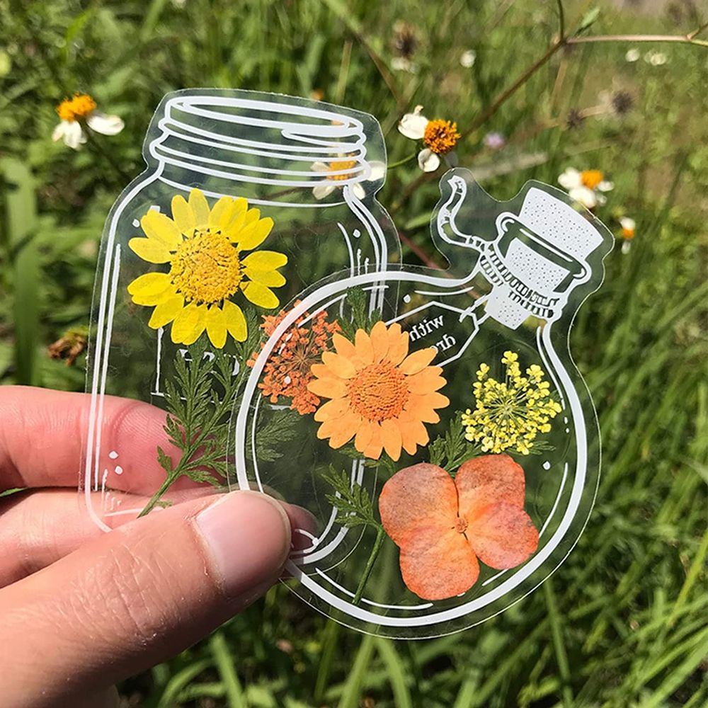 30Pcs Handmade DIY Transparent - Dried Flower Bookmark recensione e prezzo