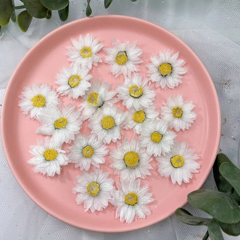 24pcs/2-4CM,Natural Pressed Fl - Dried Flower Bookmark recensione e prezzo