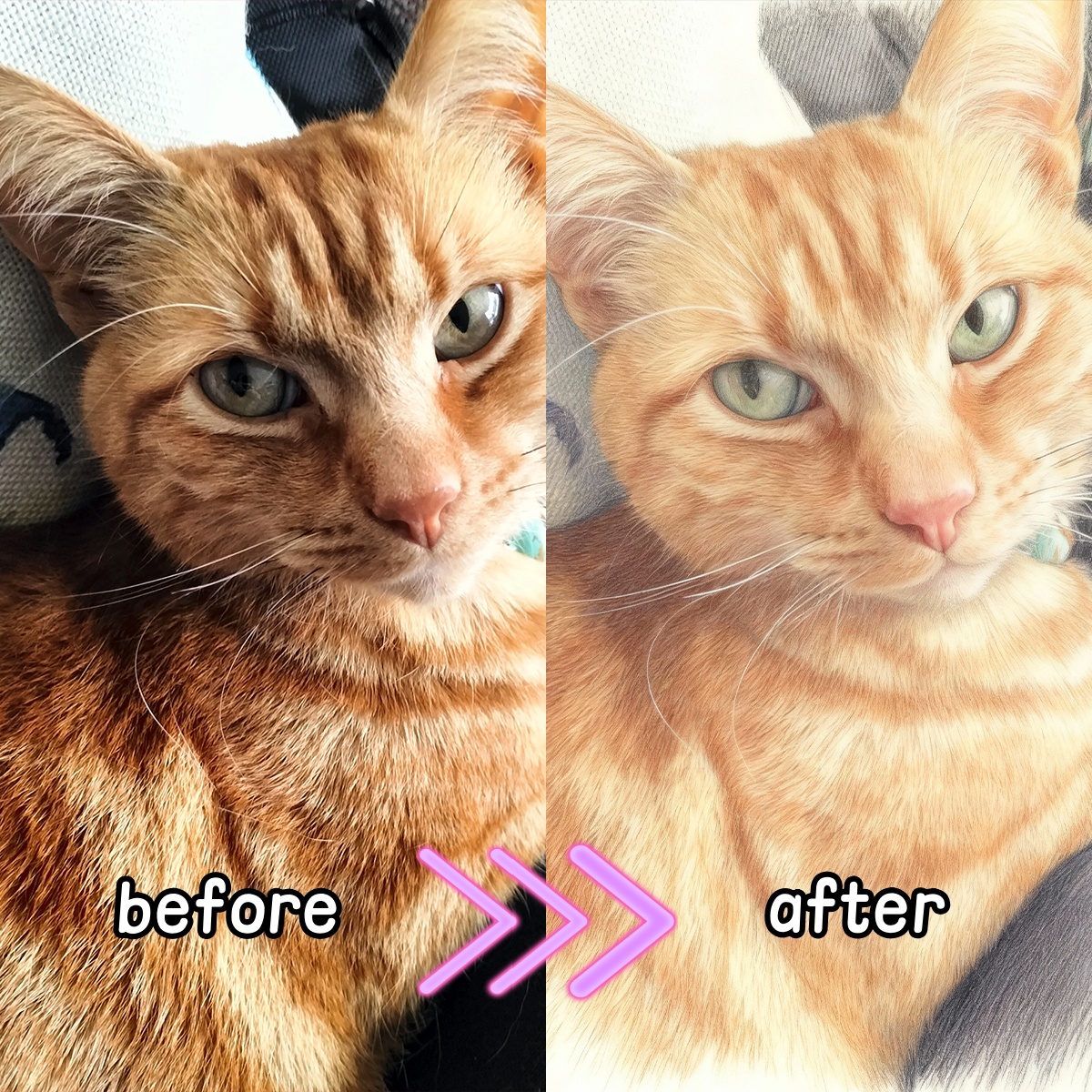 Personalized Custom Colored Pe - Pet Portrait Custom recensione e prezzo