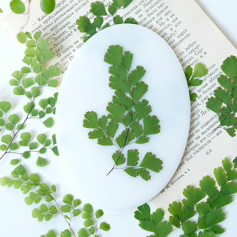 60Pcs Natural Plant Real Flowe - Dried Flower Bookmark recensione e prezzo
