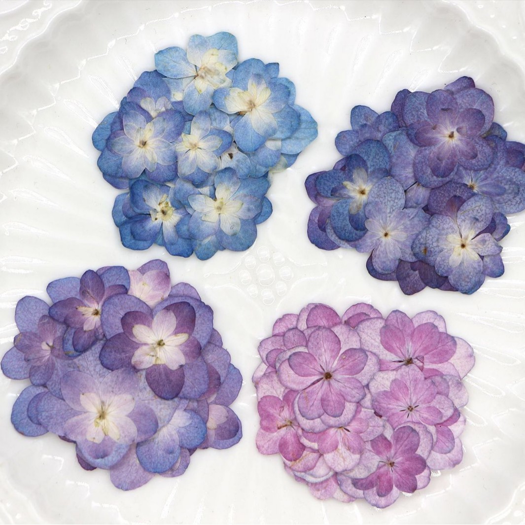 60Pcs Mini Double-Flowered Hyd - Dried Flower Bookmark recensione e prezzo