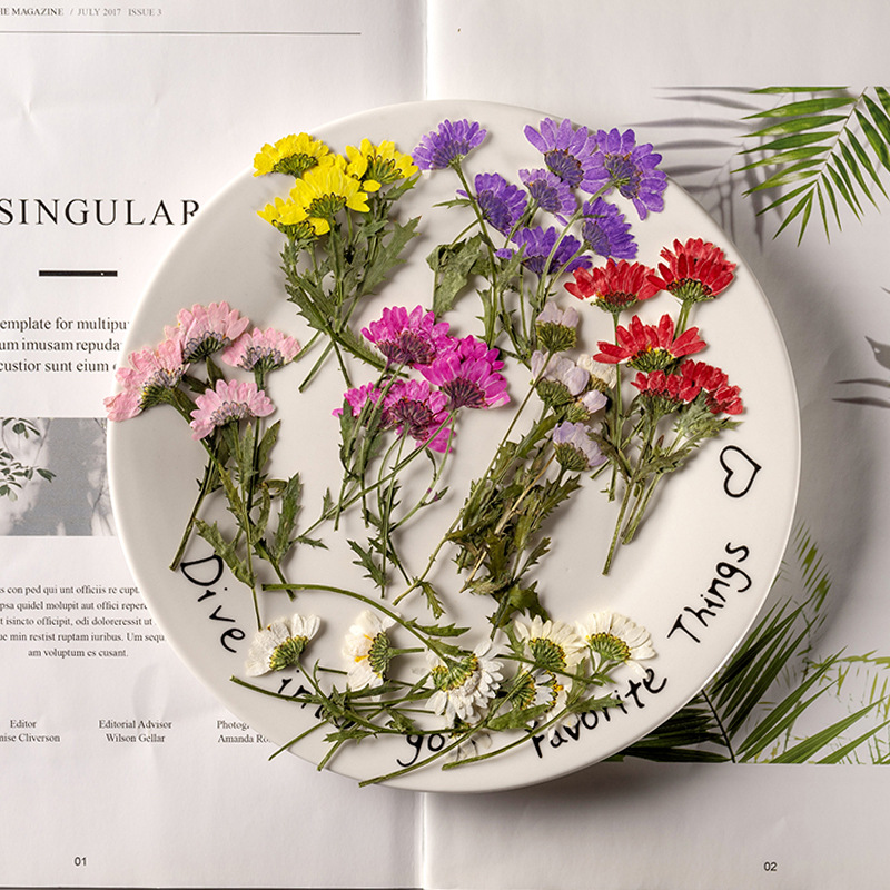 5-8cm/24pcs,Side Pressed Cryst - Dried Flower Bookmark recensione e prezzo