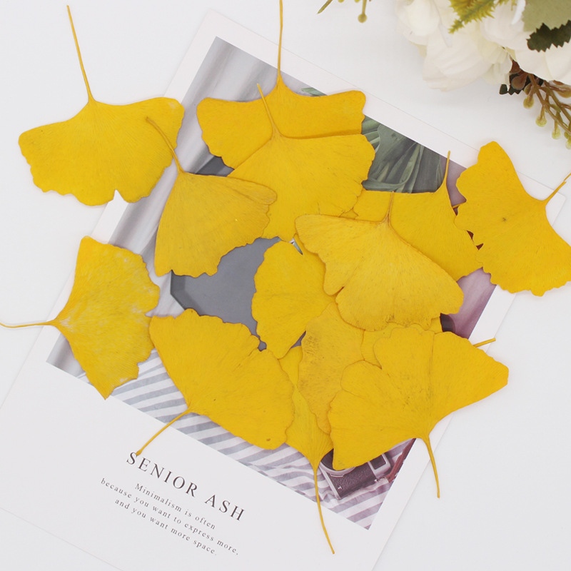 60pcs Pressed Dried Yellow/Gre - Dried Flower Bookmark recensione e prezzo